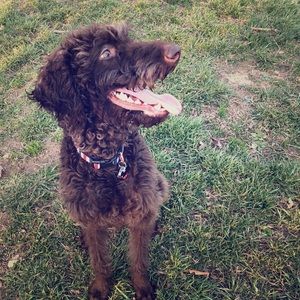 Meet your Posher, Jenny